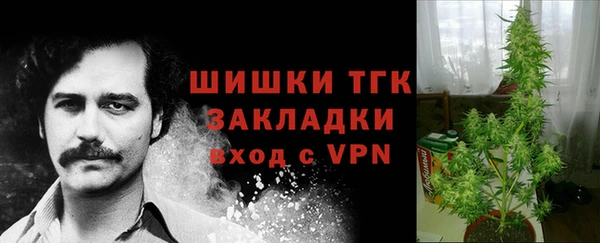 хмурый Михайловск