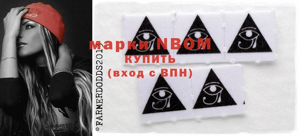 хмурый Михайловск