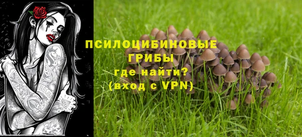винт Абаза