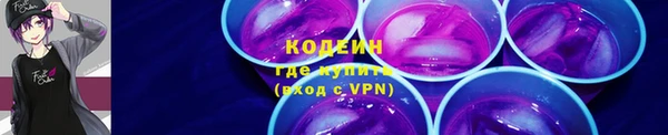 хмурый Михайловск