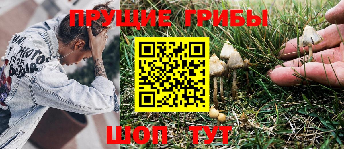 Галлюциногенные грибы мицелий  Вход с VPN  купить закладку  Нижневартовск 